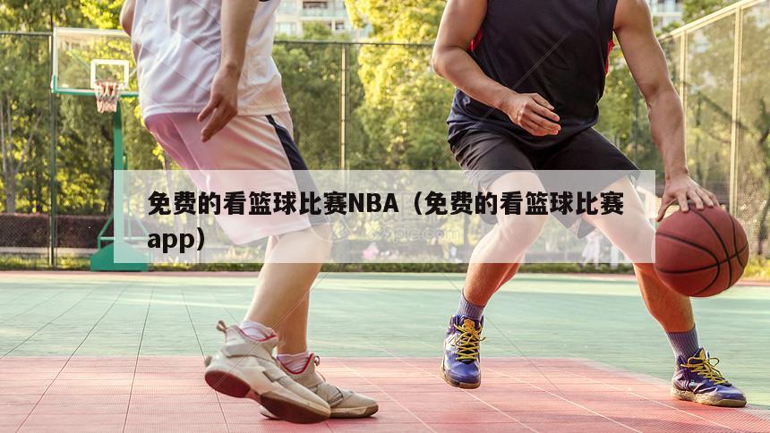 免费的看篮球比赛NBA（免费的看篮球比赛app）