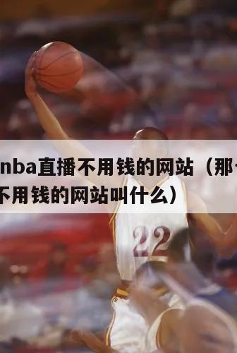 那个看nba直播不用钱的网站（那个看nba直播不用钱的网站叫什么）