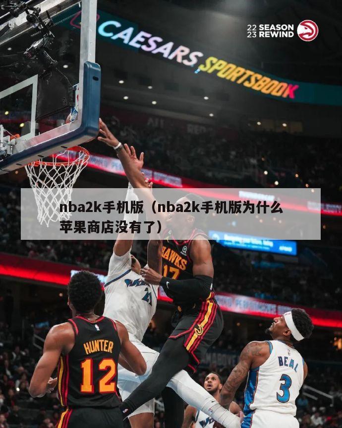 nba2k手机版（nba2k手机版为什么苹果商店没有了）