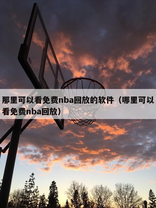 那里可以看免费nba回放的软件（哪里可以看免费nba回放）